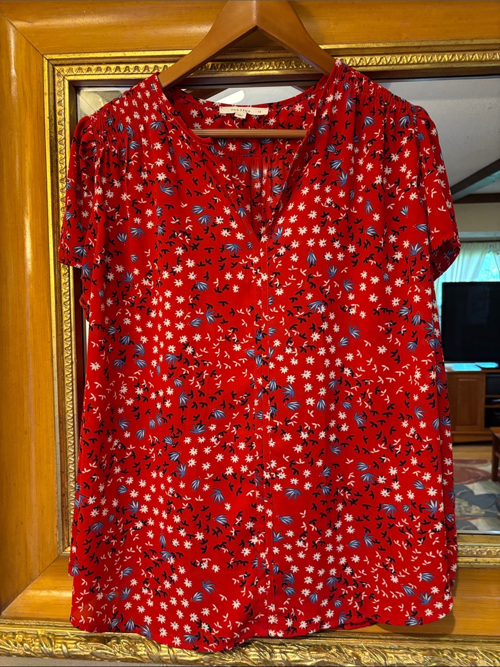 Fun 2 Fun Red Floral Top - Size 1X